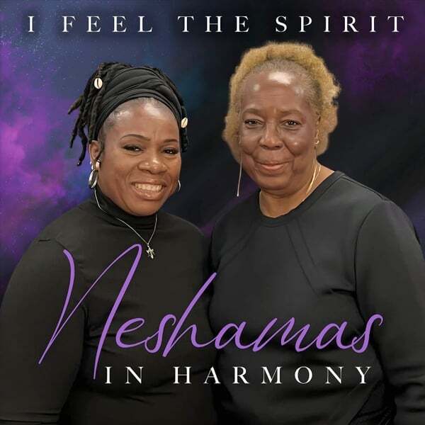 Cover art for I Feel The Spirit
